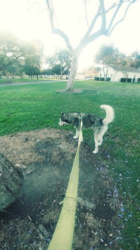 Dog trainer South Gate Park South Gate
