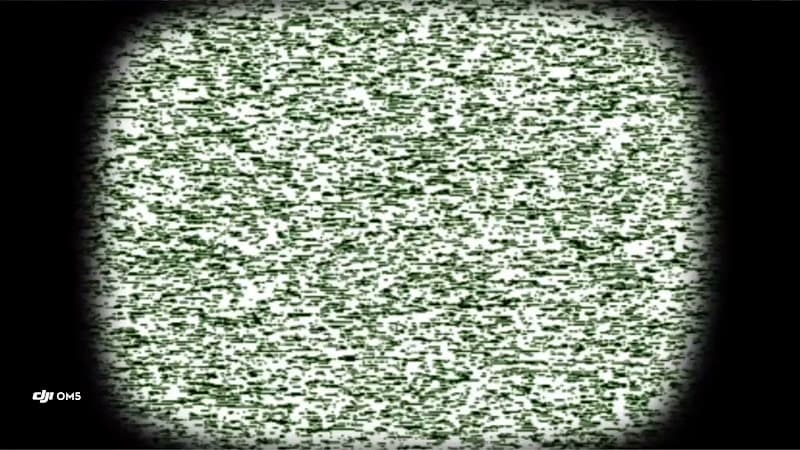 Dog trainer South Park Doggie - Waterland (LAX) Los Angeles