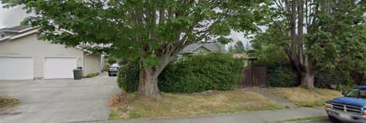 Dog trainer Tail Wagging Friends: Dog Sitting Service Bellingham