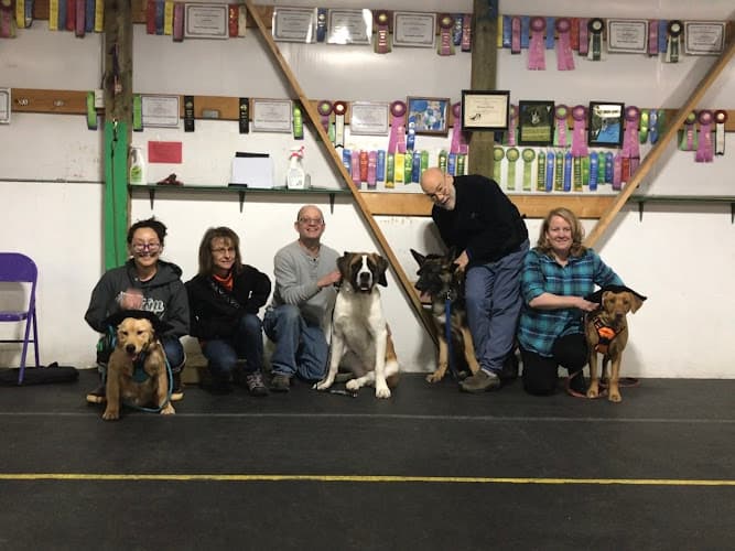 Dog trainer The Better Companion, LLC Anchorage
