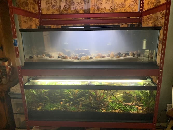 Dog trainer The Deep Redding