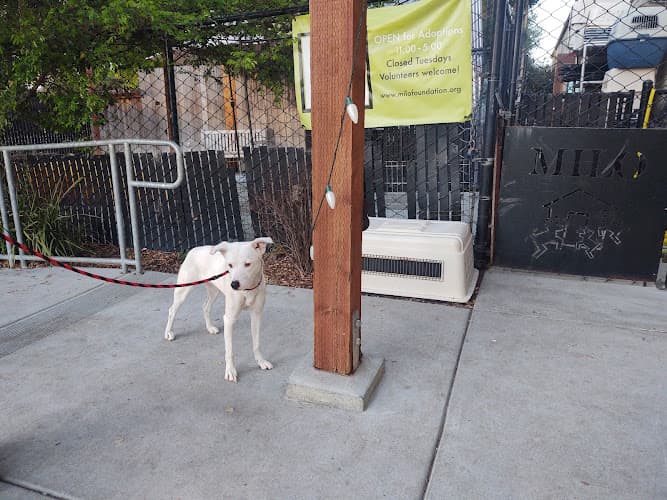 Dog trainer The Milo Foundation Richmond