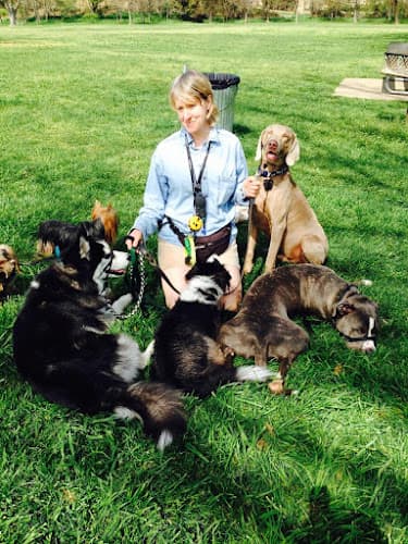 Dog trainer The Pet Agency Sacramento