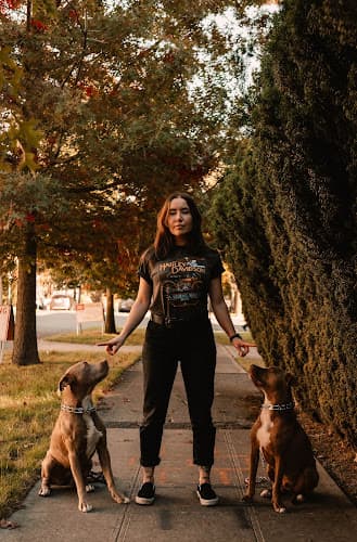 Dog trainer Three Six Canine Seattle