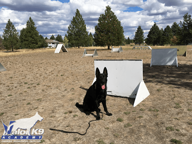 Dog trainer Valor K9 Academy - Spokane Spokane