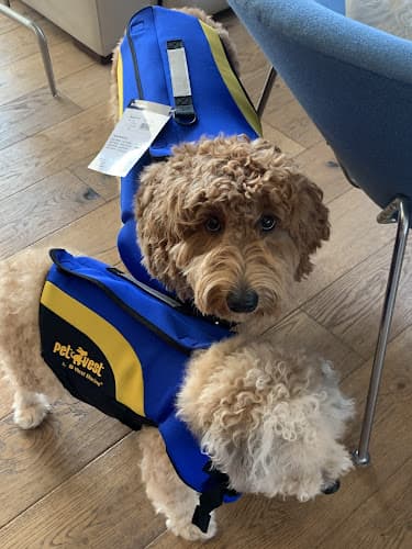 Dog trainer VCA Santa Monica Dog and Cat Hospital Santa Monica