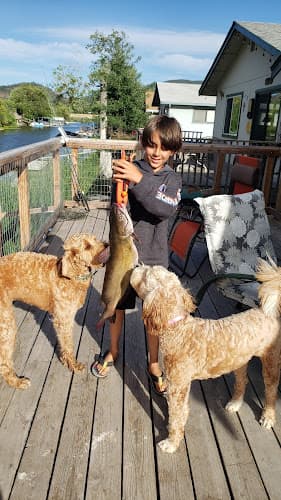 Dog trainer VCA Windsor Animal Hospital Santa Rosa