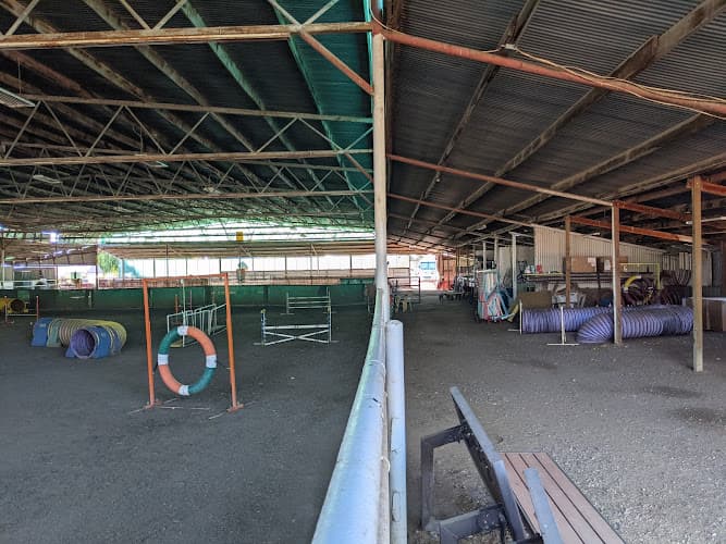 Dog trainer WAG, Inc. Elk Grove