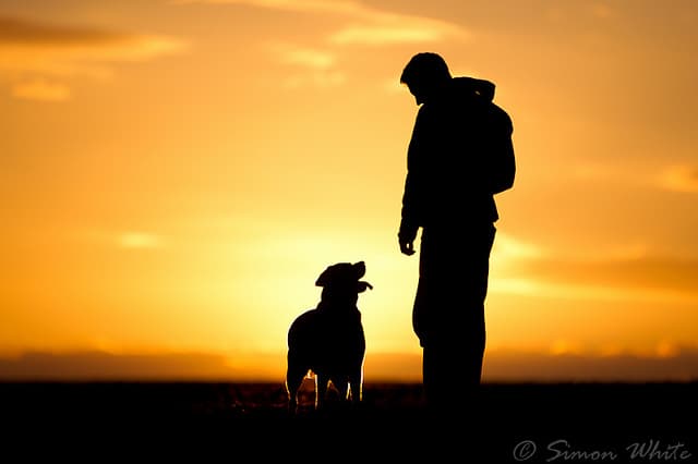 Dog trainer Whole Lotta K9 Vista