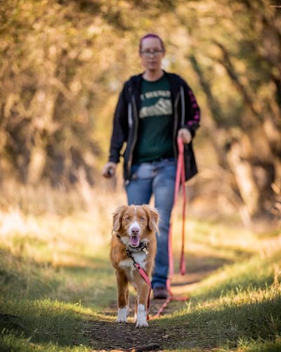 Dog trainer Wholistic Canine Sacramento