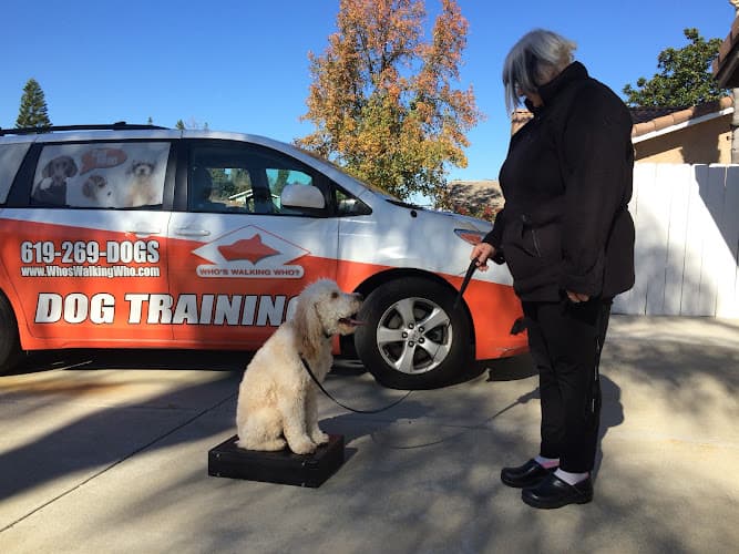 Dog trainer Who's Walking Who? Dog Training San Diego