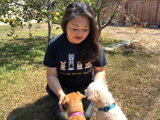 Dog trainer Wow Bow Wow Dog Trainer Costa Mesa