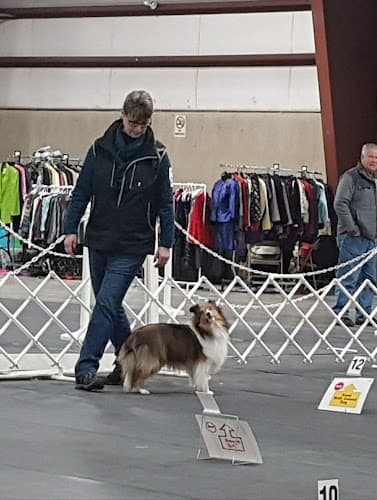 Dog trainer WOW! Dog Training - Chilliwack, BC Bellingham