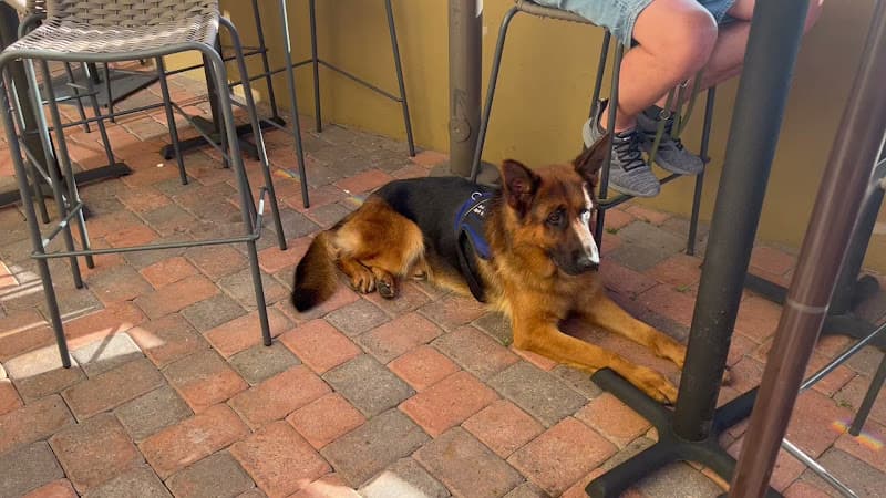 Dog trainer Wüstenberger-Land German Shepherds Lancaster