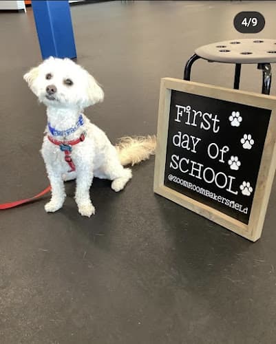 Dog trainer Zoom Room Dog Training Bakersfield