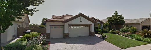 Dog walker A Pet's Paradise Roseville
