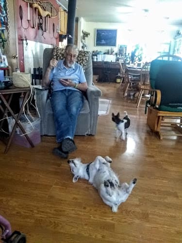 Dog walker Acme Canine Center Llc Yakima