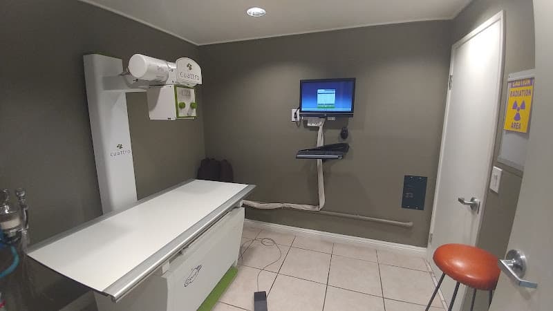 Dog walker Airport Animal Hospital Fullerton