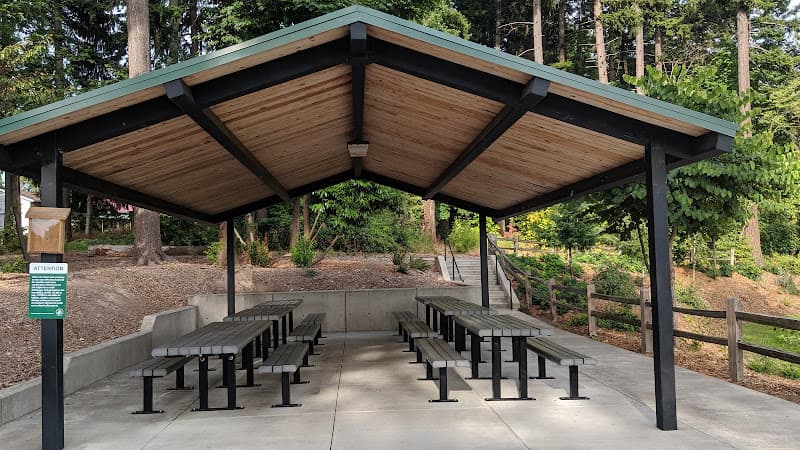 Dog walker A.M. Kennedy Park Beaverton