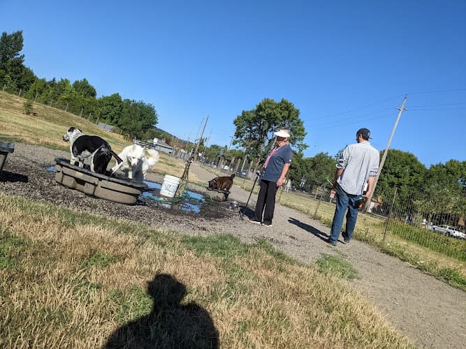 Dog walker Amazon Dog Park Eugene