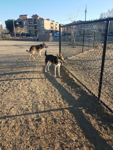Dog walker American Heroes Park Lancaster