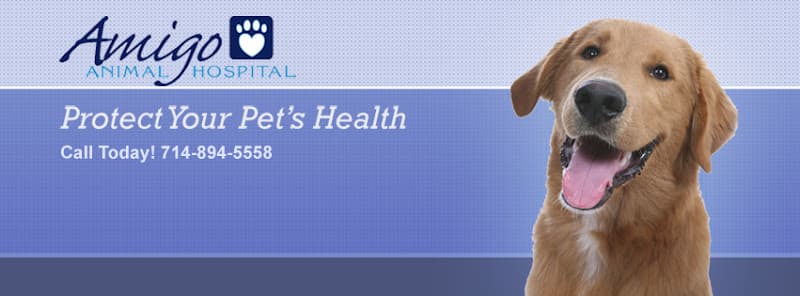 Dog walker Amigo Animal Hospital Westminster
