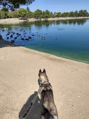Dog walker Apollo Community Regional Park Lancaster