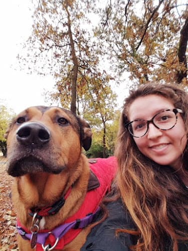 Dog walker Apronstrings Pet Sitting Antioch