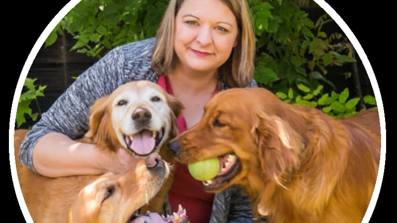 Dog walker Ashleys Pawsome Pet sitting Fairfield