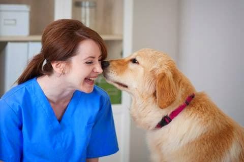 Dog walker Ashton Animal Hospital Downey
