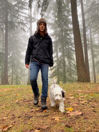 Dog walker Bark 4 Mark Gresham