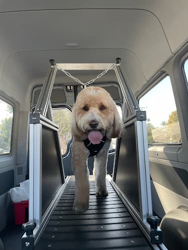 Dog walker Bark N' Roll Mobile Dog Fitness Torrance
