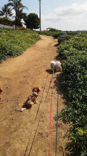 Dog walker Batiquitos Lagoon North Bluff Trail Windrose Circle Trailhead Carlsbad