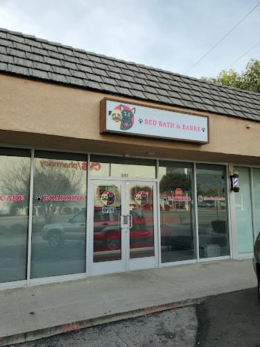 Dog walker Bed Bath & Barks Pasadena