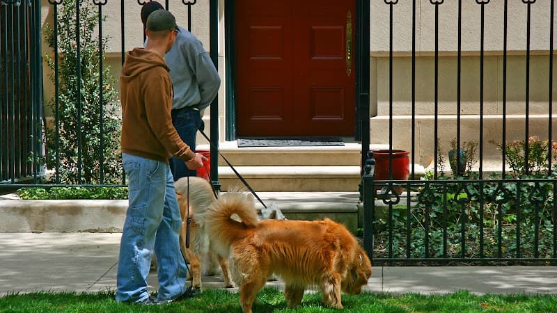 Dog walker Belltown Dog Walker Seattle