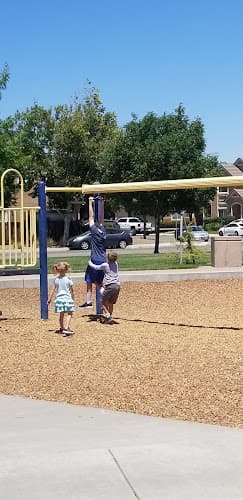 Dog walker Bill Schwartz Park Tracy