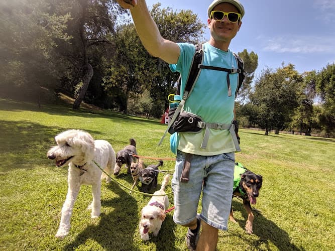 Dog walker BORK Pack LLC Los Angeles
