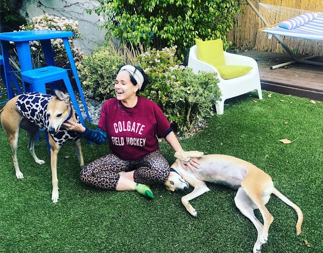Dog walker CBD for Dogs and Cats/All Paws Essentials Costa Mesa