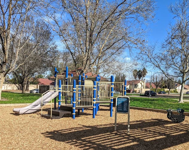 Dog walker Ceciliani Park Tracy