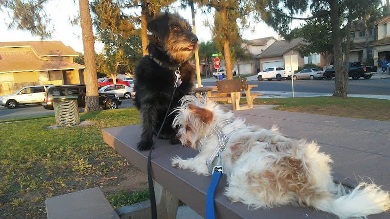 Dog walker Clay Park Jurupa Valley