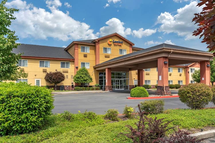 Dog walker Comfort Suites Salem