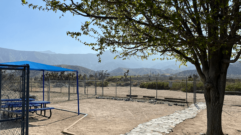 Dog walker Cozy Canine Hesperia
