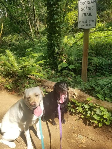 Dog walker Croisan Creek Trail Salem