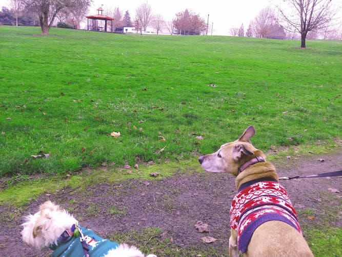 Dog walker Dairy Creek Park Hillsboro