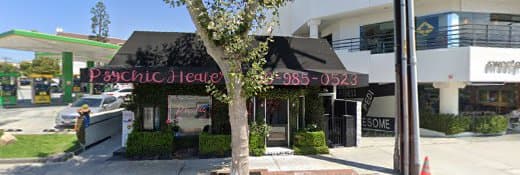 Dog walker Dawg Lift Jetsons Dawg Walkers Los Angeles