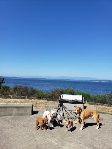 Dog walker Dog Dude Taylor Seattle
