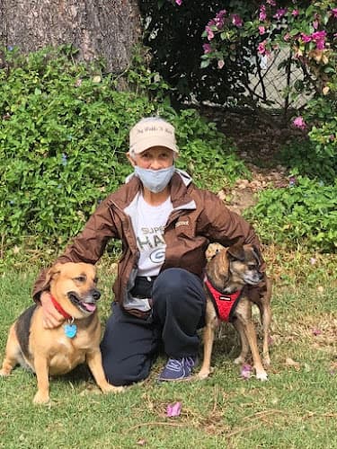 Dog walker Dog Walks 'N More, LLC San Marcos