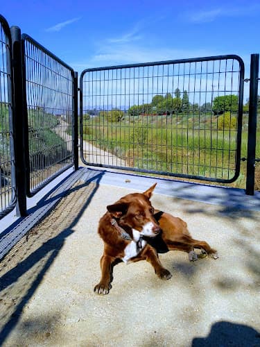 Dog walker Dominguez Gap Wetlands Long Beach