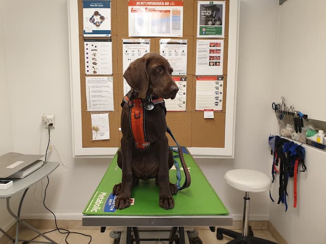 Dog walker Downey Veterinary Hospital Downey