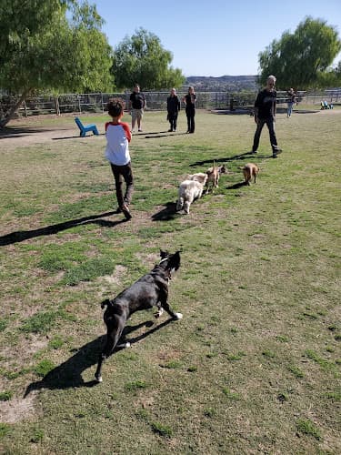 Dog walker El Dorado Park Dog Park Long Beach